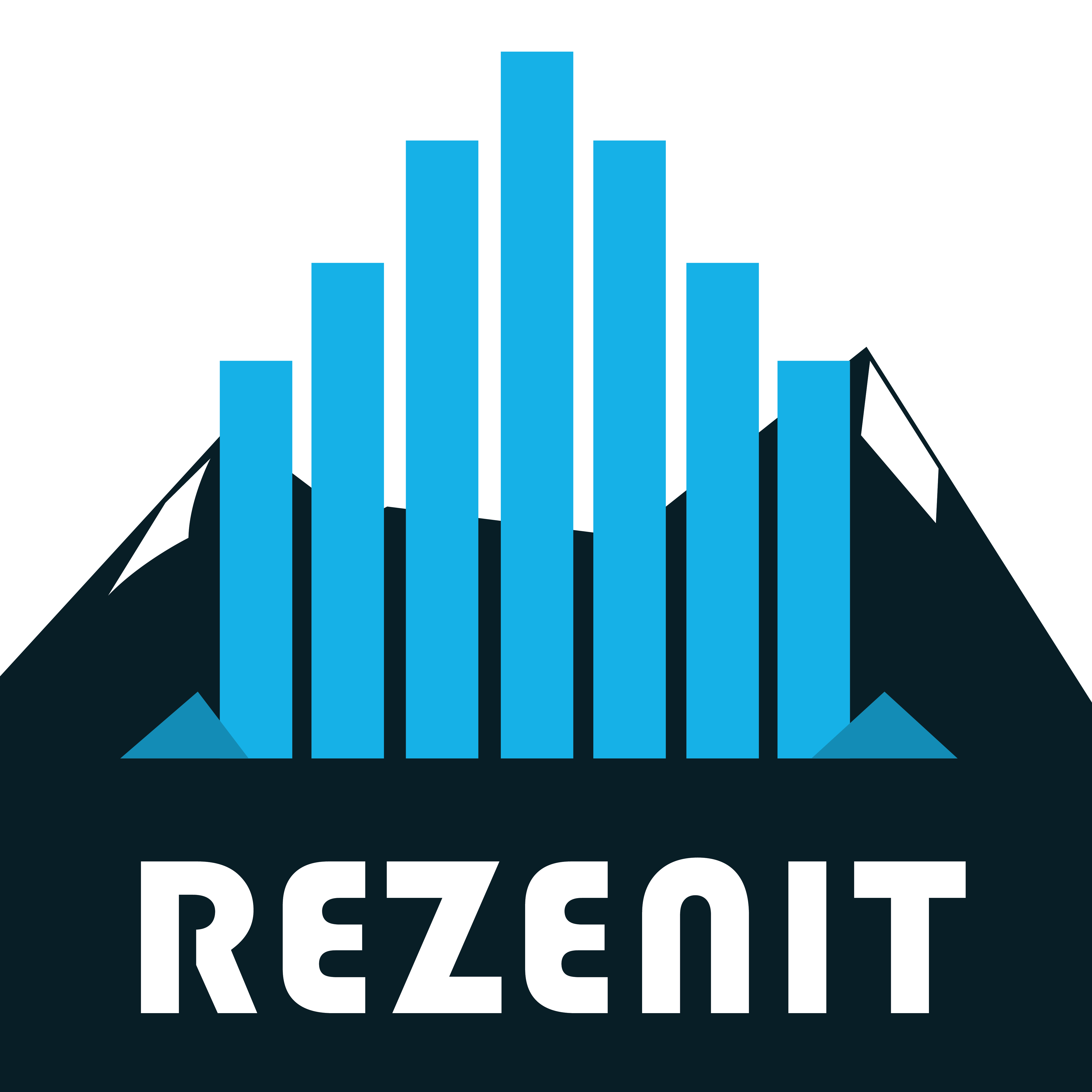Rezenit logo